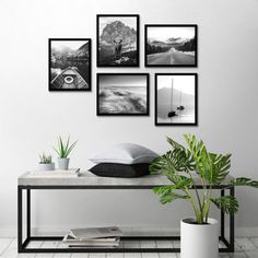 This 11x14 frame features a sleek molding, crafted from durable and high-quality material in a black finish, designed to showcase your cherished memories and favorite photos. Is your trusted choice for quality frames and home decor. Hokku Designs | Hokku Designs 11X14 Picture Frame w / Polished Plexiglass - Set Of 5 - Galleria Collection - Gallery Wall Frame Set For Wall Display - in Black | Wayfair Wall Collage Picture Frames, 11x14 Picture Frame, Photo Wall Hanging, Gallery Wall Frame Set, Frame Wall Collage, Wall Collage Decor, Collage Mural, Wall Frame Set, Perfect Gallery Wall