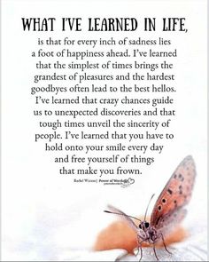 an orange butterfly with the words what i've learned in life