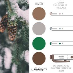 the color scheme for a christmas tree with pine cones and other things to decorate it