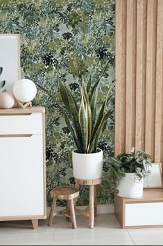 a plant in a pot next to a dresser