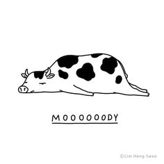 a black and white cow laying down with the word mooooo written on it