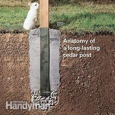 an animal is sitting on top of a post in the ground next to some dirt