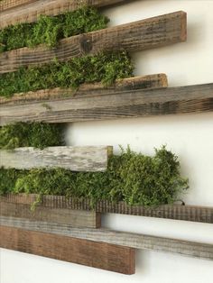 a wooden shelf with moss growing on it and some wood planks attached to the wall