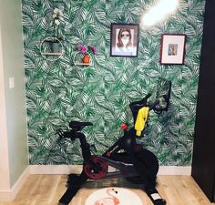 an indoor exercise bike in front of a green wall with palm leaves on the wall