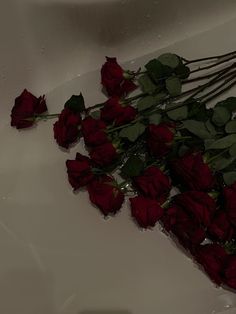 some red roses are laying on the water in a bathtub with no one around them