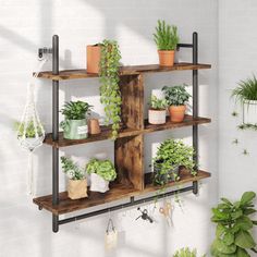 a shelf filled with potted plants next to a wall