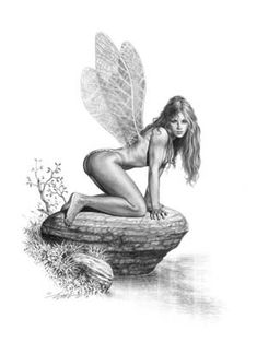 a pencil drawing of a fairy sitting on a rock