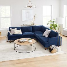 a living room with a blue couch and coffee table