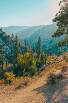 the sun shines on trees and hills in the distance, with mountains in the background