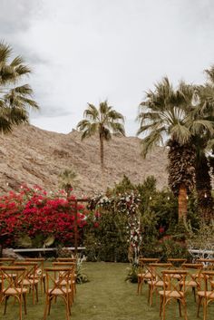 chairs and tables set up in the middle of a lawn with palm trees around them