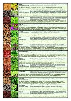 a poster with different types of plants and their names in each section, including the title