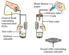 two hands are holding test tubes with liquid in them