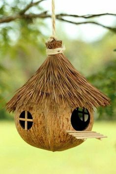 a bird house hanging from a tree branch