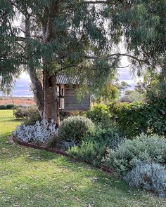 a small wooden cabin nestled in the middle of a lush green field next to a tree