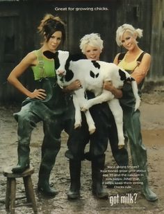 three women in overalls are holding a cow and posing for a photo with the caption got milk?