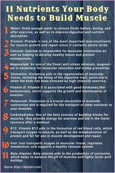 Muscle building involves both physical exercise and proper nutrition. And nourishing your body with a variety of nutrient-dense foods, especially protein and carbohydrates, is important to meet your muscle building needs. Here are 11 important vitamins, macronutrients, and amino acids for muscle growth and maintenance. #FitLife #HealthyLifestyle #SelfCare #HealthTips #NutritionTips #HealthyLiving #Wellness #FitnessTips Body Builder Diet, Calorie Cycling, Important Vitamins, Muscle Building Women, Muscle Diet, Muscle Building Foods, Muscle Building Supplements, Increase Muscle Mass