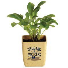 a small potted plant is shown with the words digging for success written on it