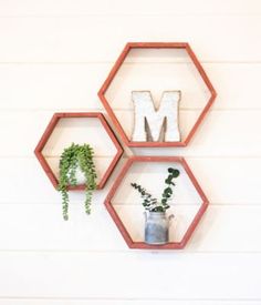 three hexagonal shelves with plants and letters on the top one is made out of wood