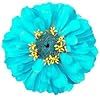 a blue flower with yellow centers is shown in this image, it appears to be an odd shape