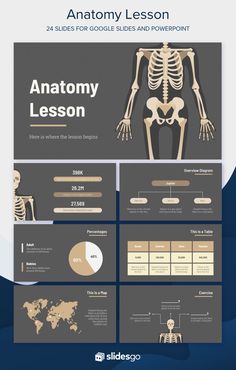 the anatomy lesson for kids is shown in this slider, and includes diagrams to help students