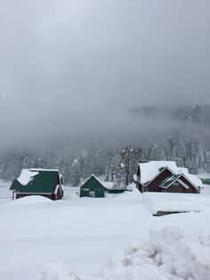 snow covered houses and trees in the distance