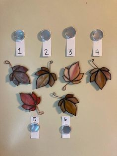 a group of leaf magnets on the wall with numbers and leaves attached to them