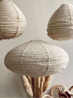 three hanging paper lanterns in the shape of flowers and reeds on a white wall