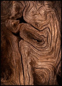 the wood grains are very intricate and interesting to look at in this photo, it is