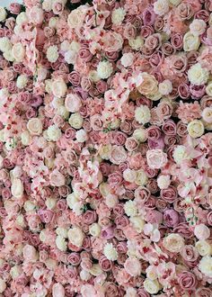 pink and white flowers are arranged on the wall