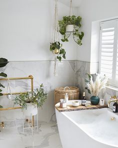 a white bathroom with plants hanging from the ceiling and a bathtub in the corner