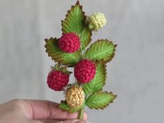 a person holding raspberries with green leaves and red berries on the top, in front of a white background