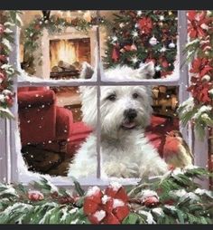 a white dog sitting in front of a christmas window