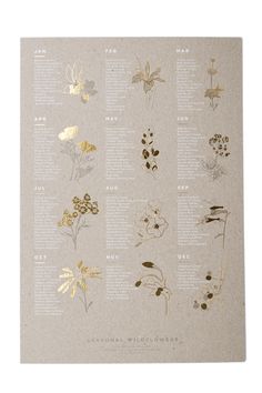 a poster with different types of flowers and their names in gold foil on white paper