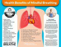 Shortness Of Breath Remedies, Self Care Kit Ideas, Gut Brain Axis, Dr Jockers, Breath Meditation, Help Falling Asleep, Simple Meditation, Sleep Faster