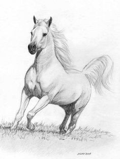 a pencil drawing of a horse running in the grass with its front legs spread out