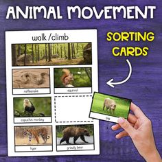 an animal movement sorting card with pictures on it