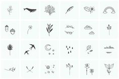 a bunch of different types of plants and flowers on a white background with black ink