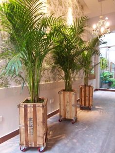 three wooden planters sitting on top of a hard wood floor