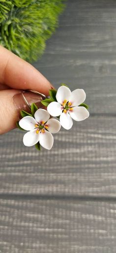 small white flowers are held in someone's hand