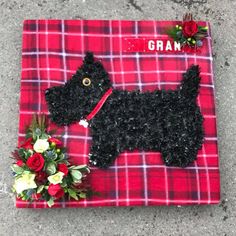 a person standing next to a red plaid blanket with a black dog on it