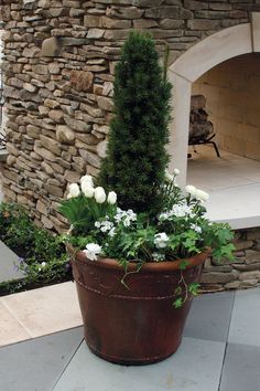 a potted plant with white flowers and greenery in front of a stone wall