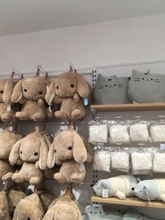 several stuffed animals are hanging on the wall in a store with other items behind them