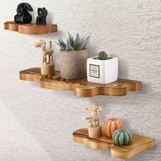 two wooden shelves with plants and other decorative items on them