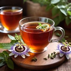 10 best herbal teas for high blood pressure Tea For High Blood Pressure, Herbal Tea For Kidney Health