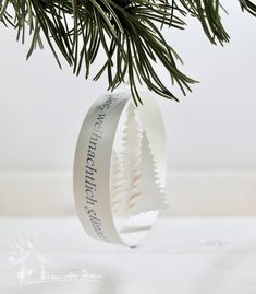 a christmas ornament hanging from a tree branch with the words, christ's church on it