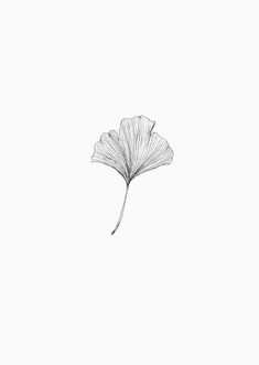 a drawing of a single flower on a white background