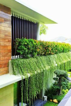 an outdoor living area with plants growing on the wall and in front of a building