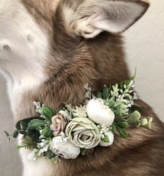 a close up of a dog wearing a collar with flowers and greenery on it