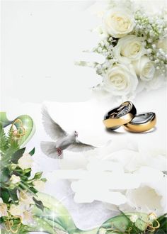 two wedding rings with white roses and birds in the sky next to each other on a floral background