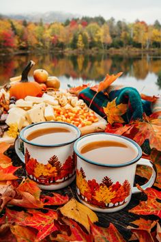 two cups of coffee sitting next to each other on top of leaves near a body of water